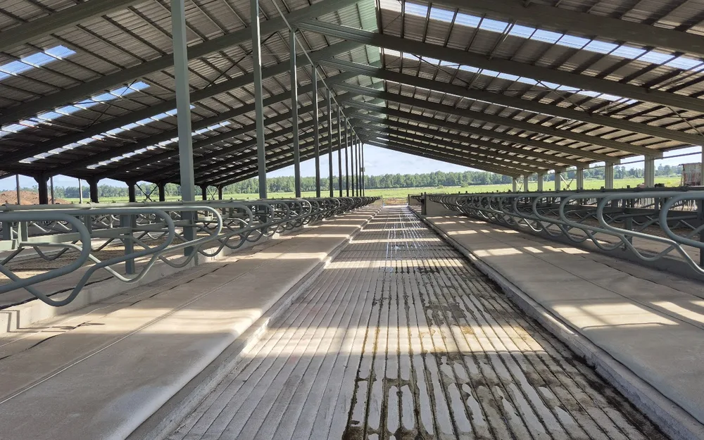Instalación de camas de estabulación